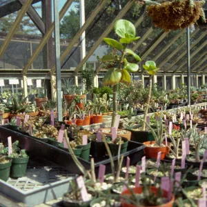 Garden Growers Nursery
