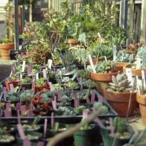 Garden Growers Nursery