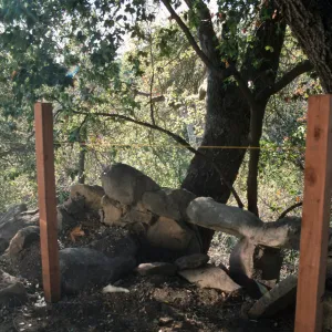 Construction of Garden Growers Nursery