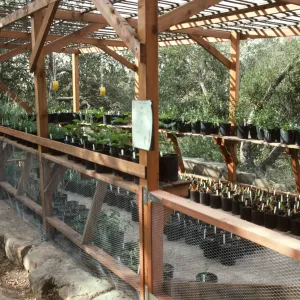Construction of Garden Growers Nursery
