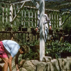 Construction of Garden Growers Nursery