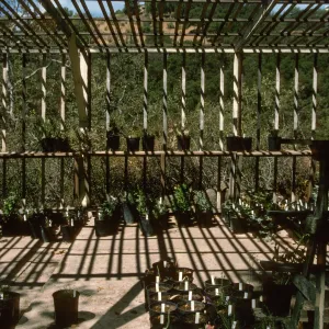 Construction of Garden Growers Nursery