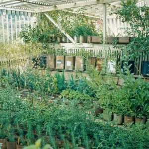 Garden Growers Greenhouse