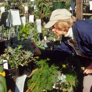 Garden Growers Volunteer