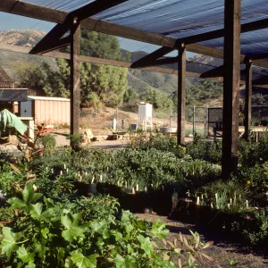 Horticulture Unit covered growing area