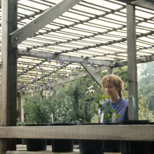 Horticulture Unit