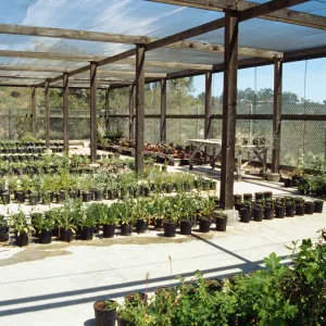 Horticulture Unit covered growing area, gallon pots, potted plants