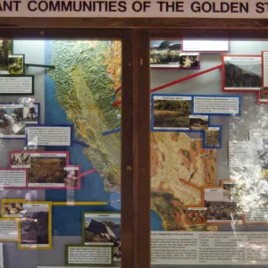 new California Plant Communities exhibit window in the Information Kiosk