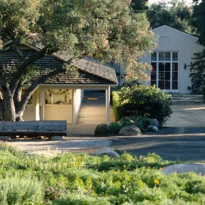 Entrance Display, entrance oak