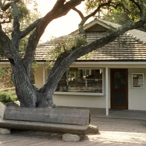 Gift Shop, entrance oak