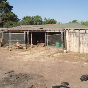 Garden Tractor Shed