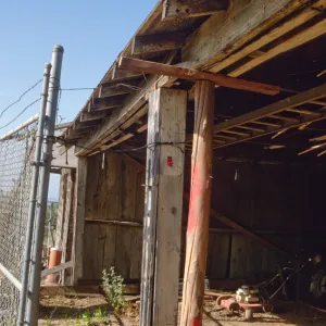 Garden Tractor Shed