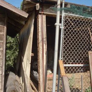 Garden Tractor Shed