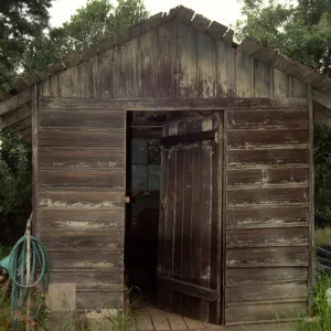 Shed
