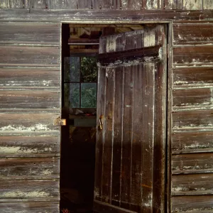 Shed