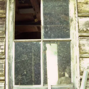 Shed window