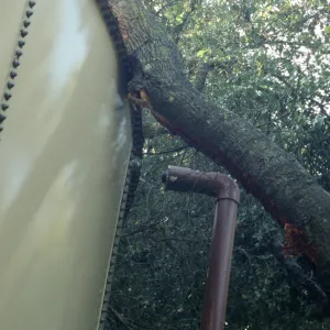 Uprooted tree, fell onto water well