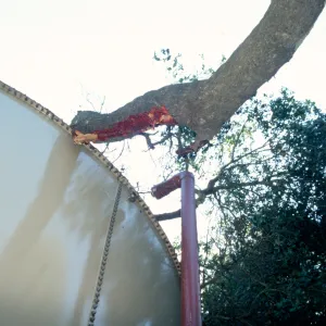 Uprooted tree, fell onto water well tank