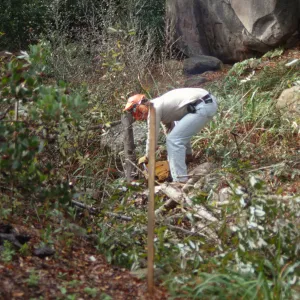 Tea House site prep