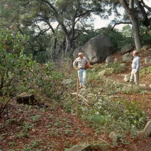 Tea House site prep