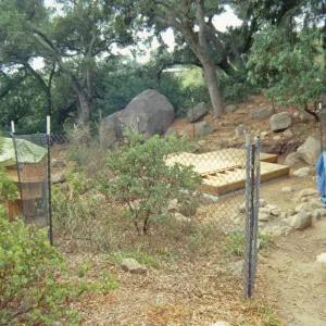Tea House Construction