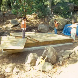 Tea House Construction