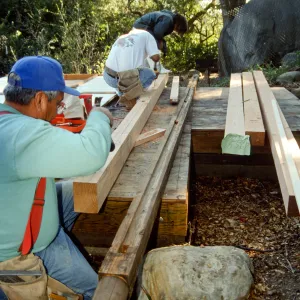Tea House Construction