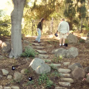 Tea House Garden installation