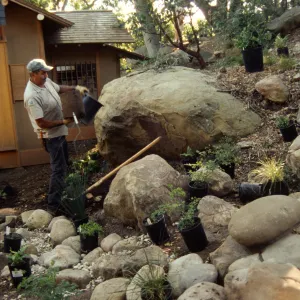Tea House Garden installation