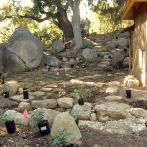 Tea House Garden installation