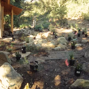 Tea House Garden installation
