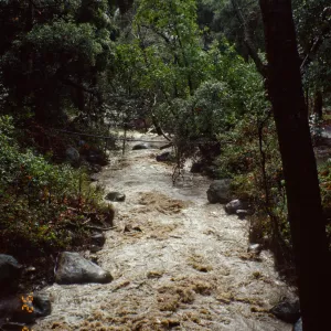 Mission Creek at flood stage