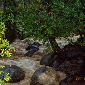 Mission Creek
