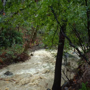 Mission Creek