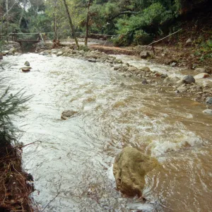 Mission Creek Flood Stage, January 1995