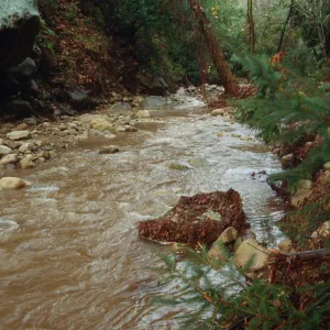 Mission Creek Flood Stage, January 1995 Storm
