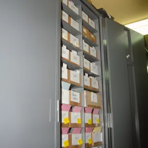 Lichen cabinet in the Herbarium