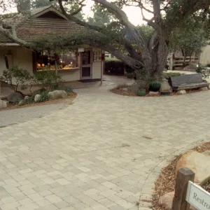 New pavered path at Garden Entrance, entrance oak