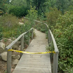 Paving the Arroyo Trail, foot bridge