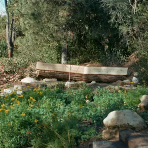 Meadow View display garden, Conn Garden, wood bench, staircase