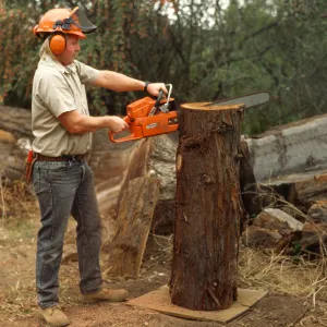 construction of redwood bench at SBBG, Dave Kershaw