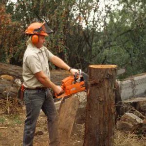 construction of redwood bench at SBBG, Dave Kershaw