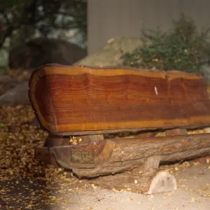 new redwood bench at Information Kiosk