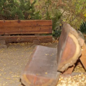 new redwood benches at Information Kiosk