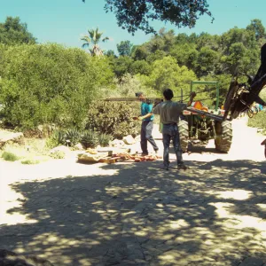 construction and placement of the Pritzlaff Bench in the Desert Section, 2000
