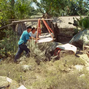 construction and placement of the Pritzlaff Bench in the Desert Section, 2000