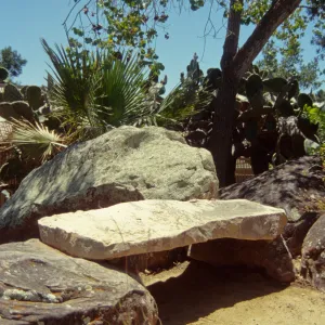 Pritzlaff Bench, new stone bench in the Desert Section, 2000