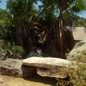 Pritzlaff Bench, new stone bench in the Desert Section, 2000