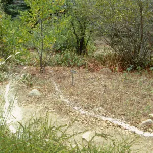 Entrance reconstruction