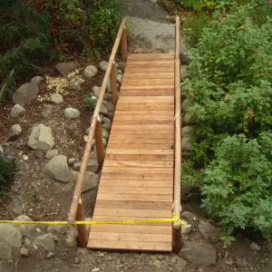 Path Paving